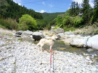 mini_IMG_20170504_104150.jpg
