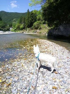 mini_IMG_20170504_111950.jpg