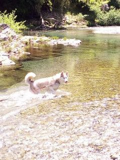 mini_IMG_20170504_112008.jpg