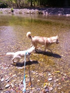 mini_IMG_20170504_112020.jpg