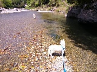 mini_IMG_20170504_112156.jpg