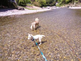 mini_IMG_20170504_112606.jpg