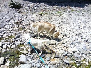 mini_IMG_20170504_112727.jpg