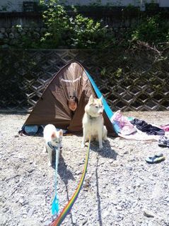 mini_IMG_20170504_112858.jpg