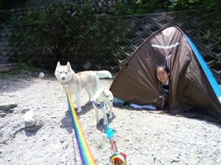 mini_IMG_20170504_112928.jpg