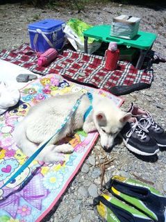 mini_IMG_20170504_114553.jpg