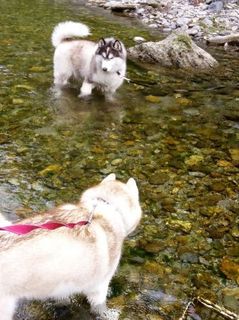 mini_IMG_20170504_142515.jpg