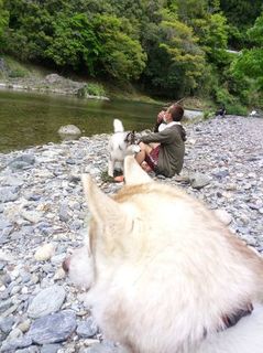 mini_IMG_20170504_144302.jpg