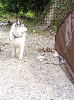 mini_IMG_20170504_150129.jpg