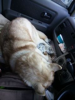 mini_IMG_20170504_172205.jpg