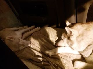 mini_IMG_20170504_173535.jpg