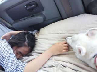 mini_IMG_20170504_181651.jpg