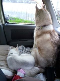 mini_IMG_20170504_181914.jpg
