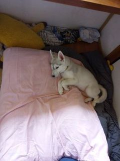 mini_IMG_20170505_121346.jpg