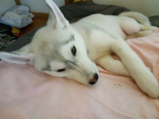 mini_IMG_20170505_121404.jpg