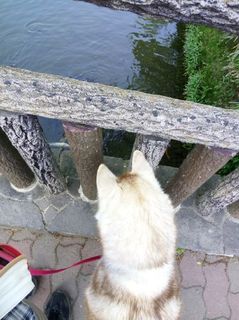 mini_IMG_20170507_165513.jpg