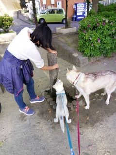 mini_IMG_20170507_170234.jpg
