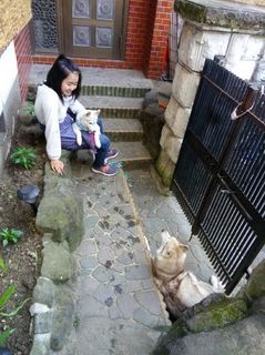 mini_IMG_20170507_172248.jpg