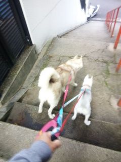 mini_IMG_20170514_063930.jpg