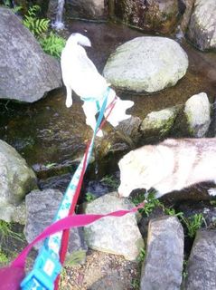 mini_IMG_20170514_065126.jpg