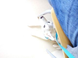 mini_IMG_20170514_091247.jpg