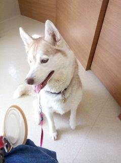 mini_IMG_20170514_091309.jpg