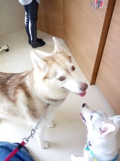mini_IMG_20170514_091343.jpg