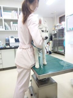 mini_IMG_20170514_091710.jpg