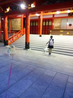 mini_IMG_20170515_190751.jpg