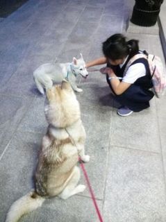 mini_IMG_20170515_190854.jpg