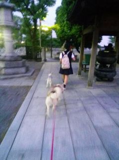 mini_IMG_20170515_191012.jpg