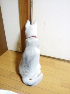 mini_IMG_20170515_220026.jpg