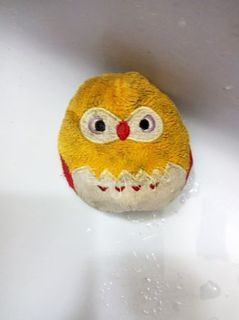 mini_IMG_20170517_060253.jpg