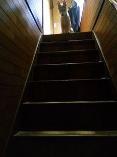 mini_IMG_20170519_183739.jpg