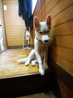 mini_IMG_20170519_183804.jpg