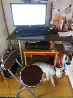 mini_IMG_20170520_100859.jpg
