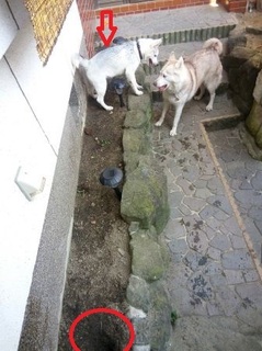 mini_IMG_20170521_074939.jpg