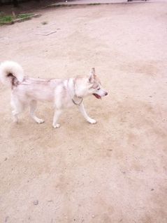 mini_IMG_20170709_065431.jpg
