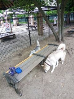 mini_IMG_20170709_065522.jpg