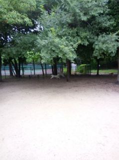 mini_IMG_20170709_065617.jpg