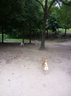mini_IMG_20170709_065633.jpg