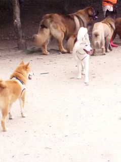 mini_IMG_20170709_070011.jpg
