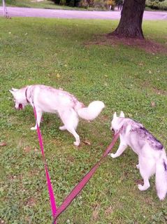 mini_IMG_20170709_072117.jpg