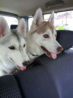mini_IMG_20170712_161727.jpg