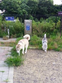 mini_IMG_20170715_063238.jpg