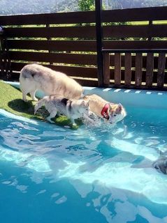 mini_IMG_20170715_092848.jpg