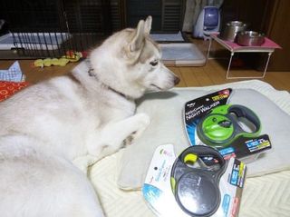 mini_IMG_20170715_230823.jpg