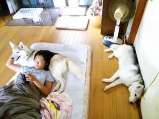 mini_IMG_20170809_071619.jpg