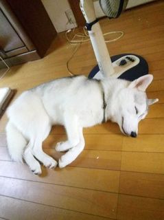 mini_IMG_20170812_095636.jpg
