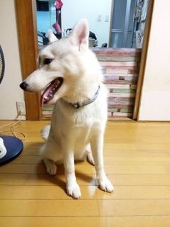 mini_IMG_20170812_204232.jpg